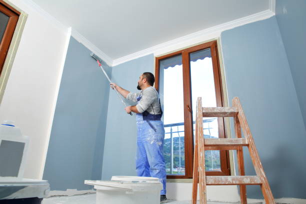 Best Drywall Repair  in Mack, OH